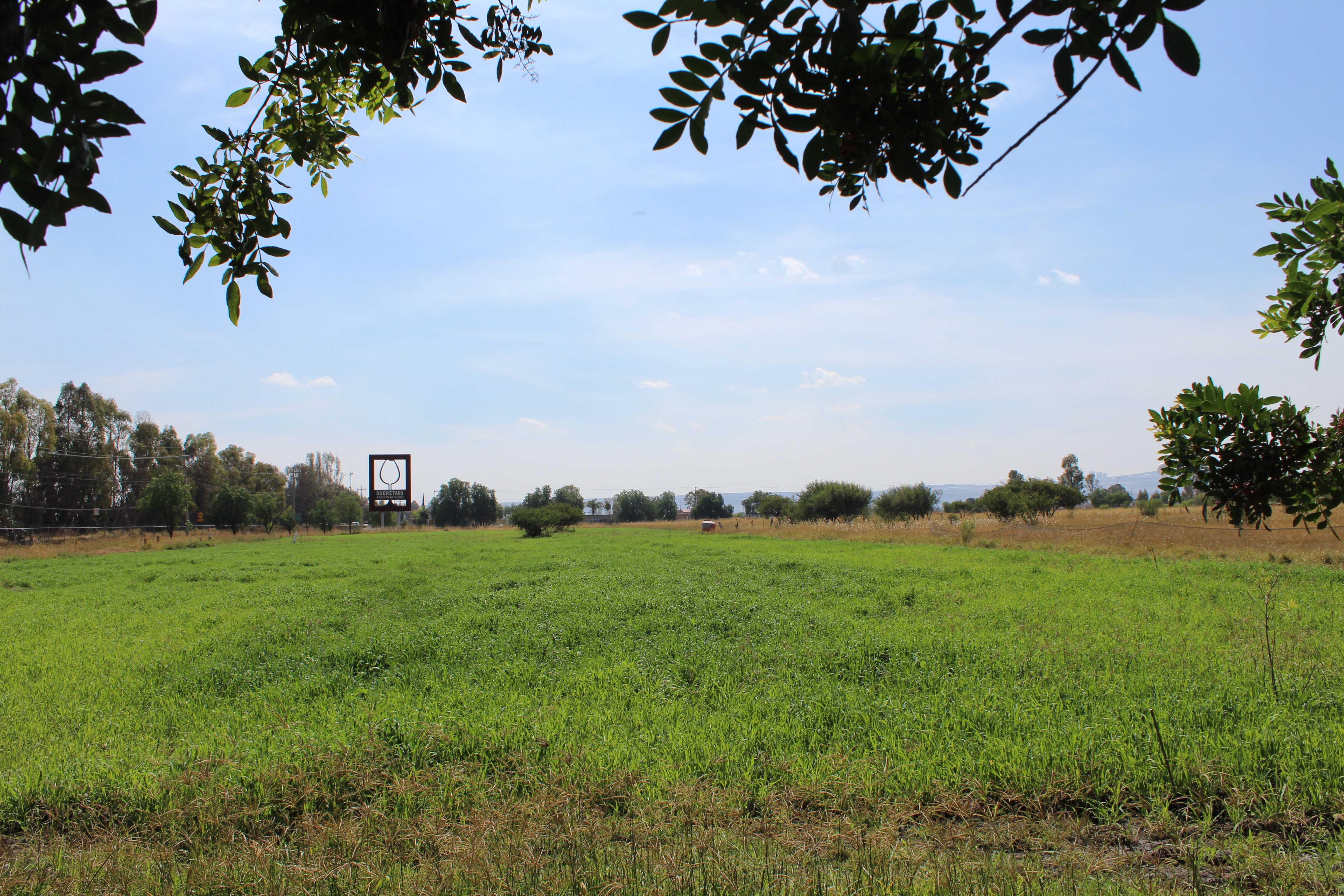 Prados verdes y vista a la región de vinedos